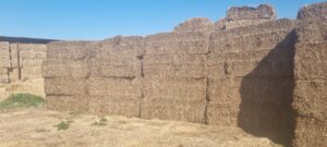 Large stack of hay bales in the open