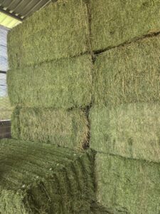 Close-up of stacked green lucerne bales