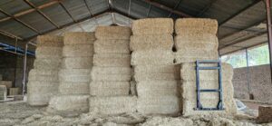 Straw bales stacked in a storage shed
