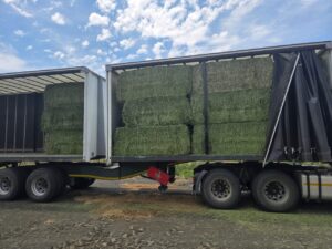 Curtain-side truck loaded with lucerne bales